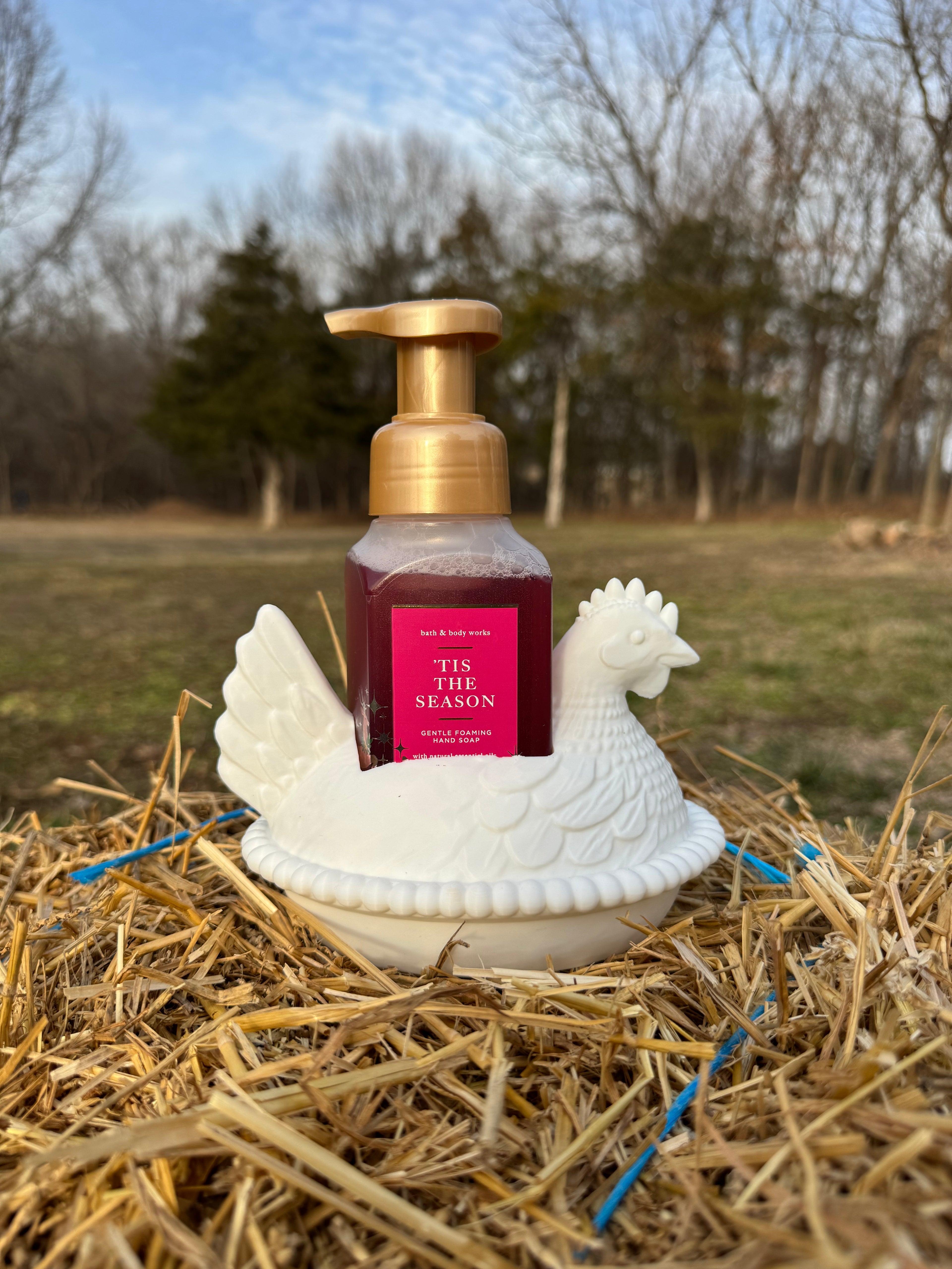 Hen On Nest B&BW Soap Holder