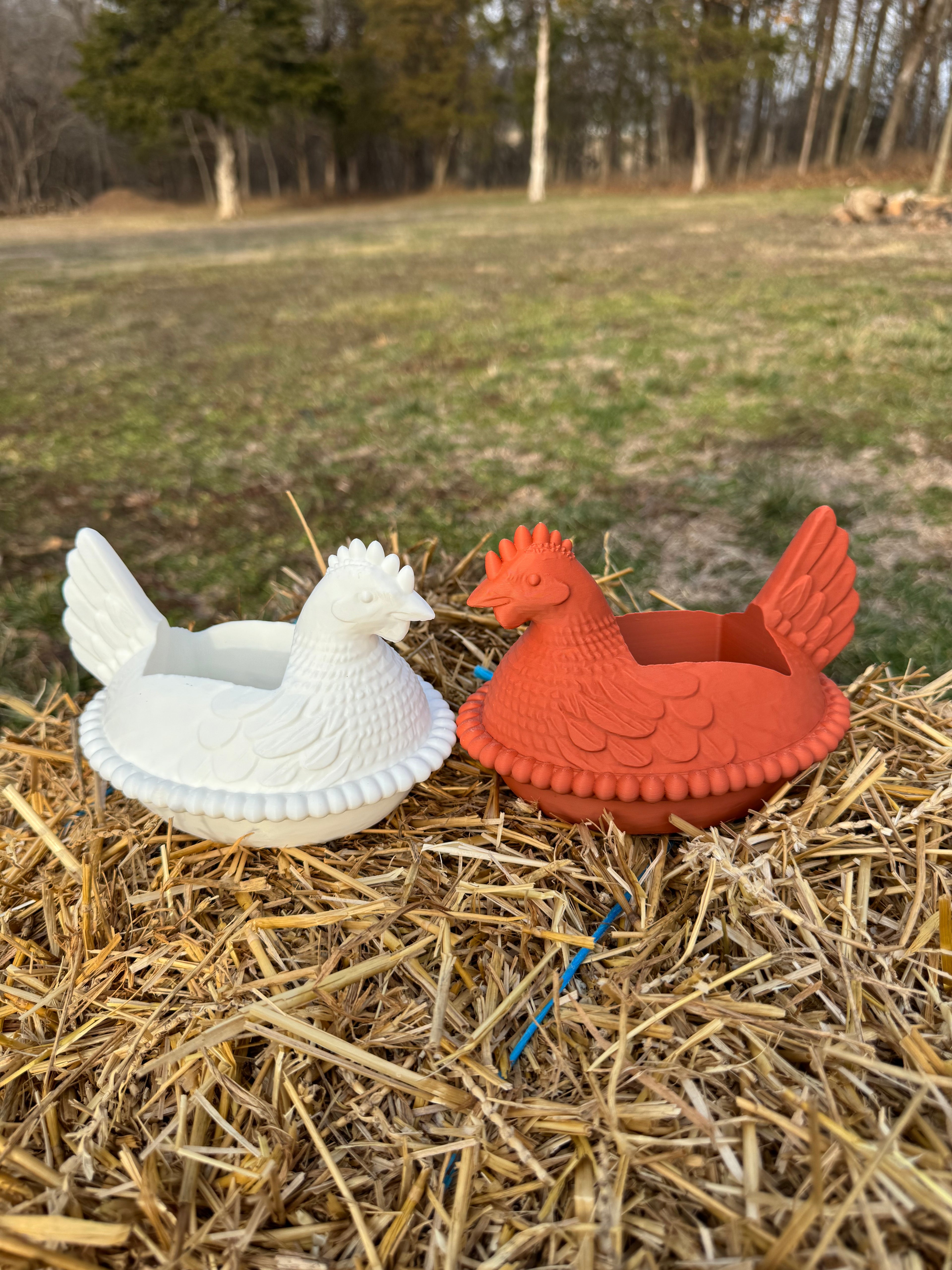 Hen On Nest B&BW Soap Holder