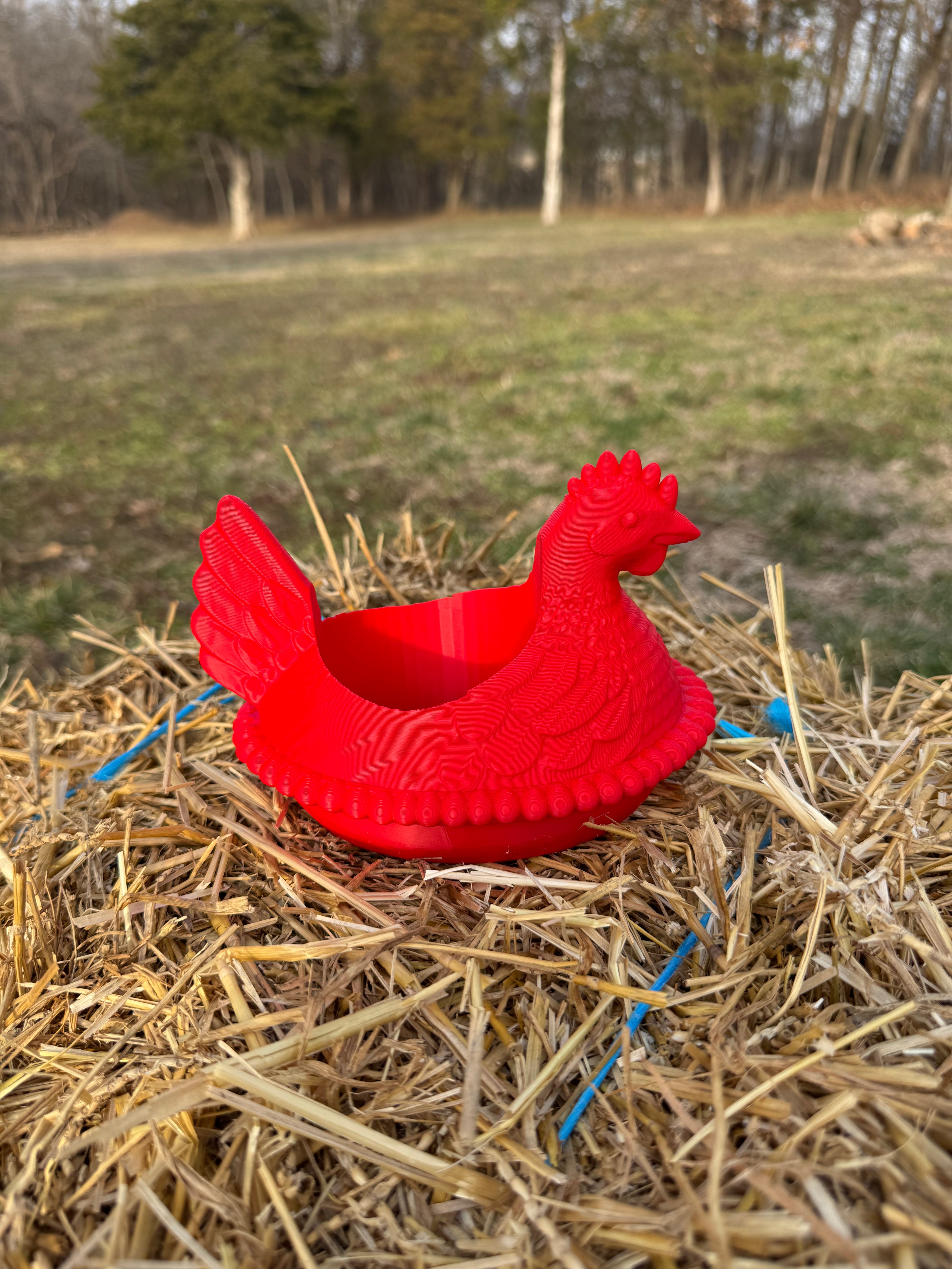 Hen On Nest Meyers Soap Holder