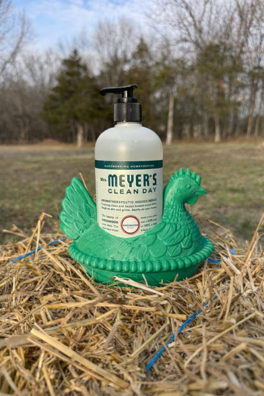 Hen On Nest Meyers Soap Holder