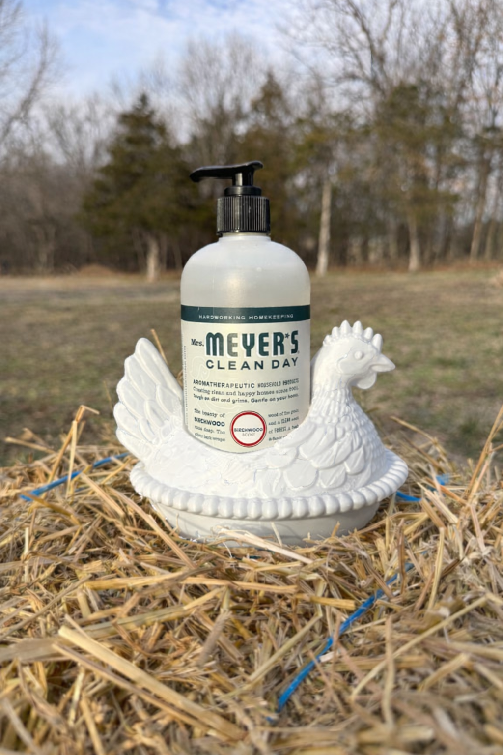 Hen On Nest Meyers Soap Holder